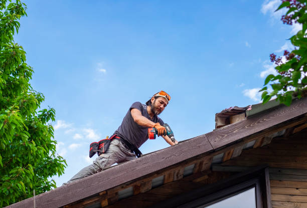 Best Asphalt Shingle Roofing  in Laredo, TX