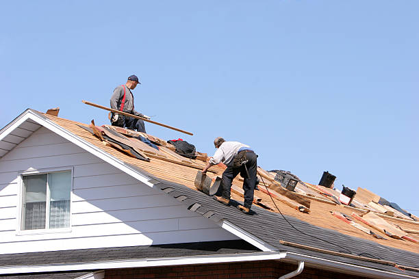Best Gutter Installation and Repair  in Laredo, TX